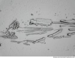 Photo Textures of Ground